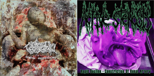 Endotoxaemia : Active Stenosis - Endotoxaemia Endotoxaemia : Active Stenosis - Endotoxaemia